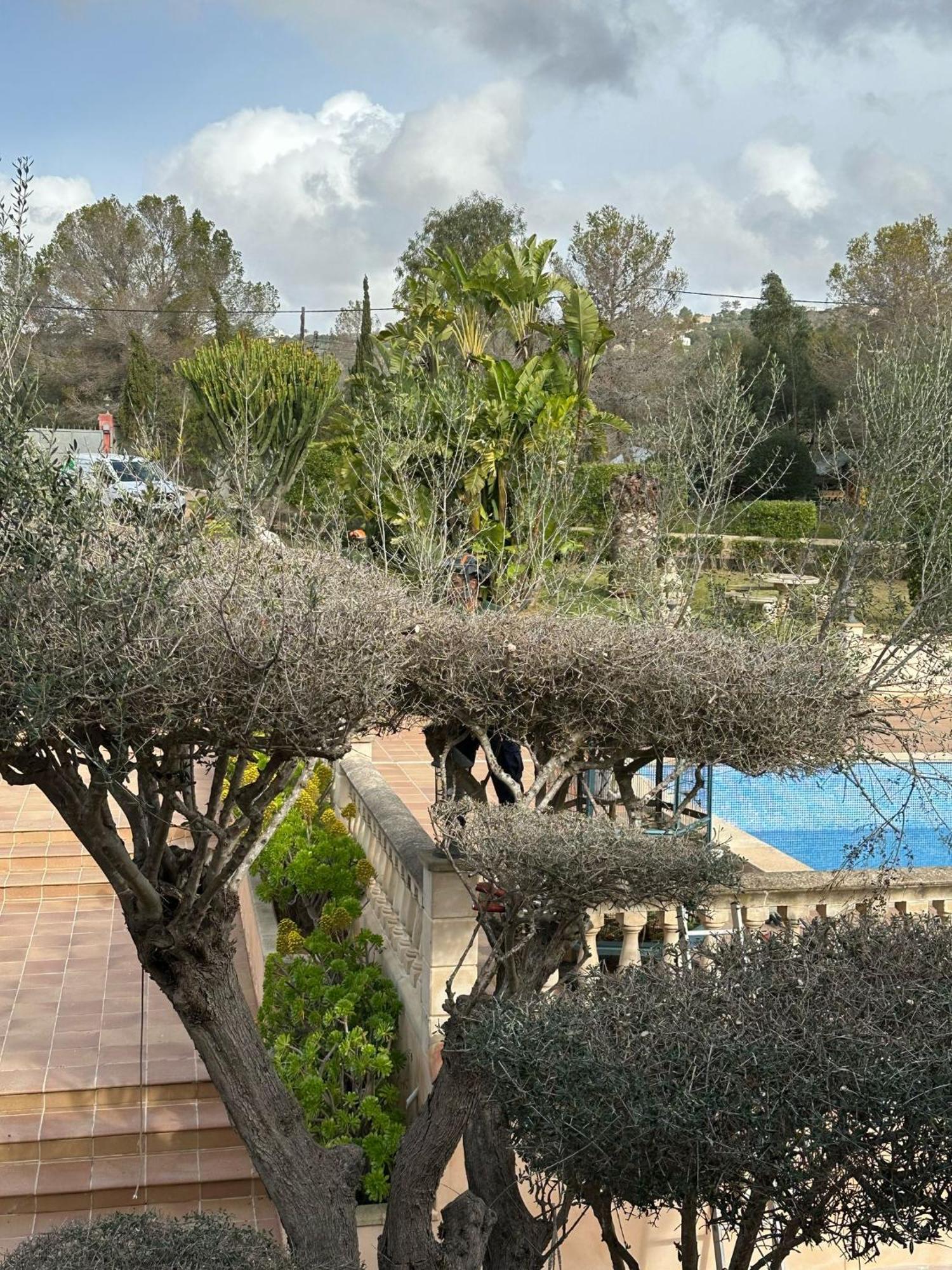 Casa Alegria Ferienhaus